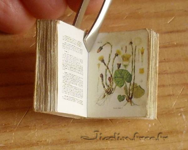 livre