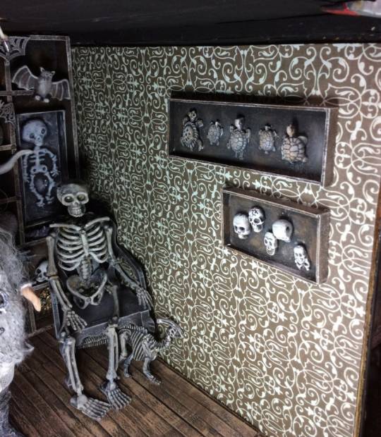 collections