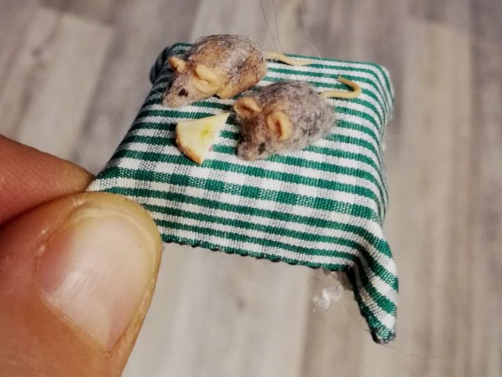 souris