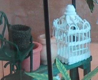 cage a oiseau