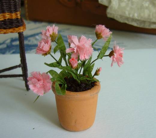 miniature carnations